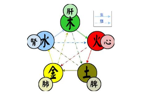 水生金 五行|五行（对万事万物的取象比类）